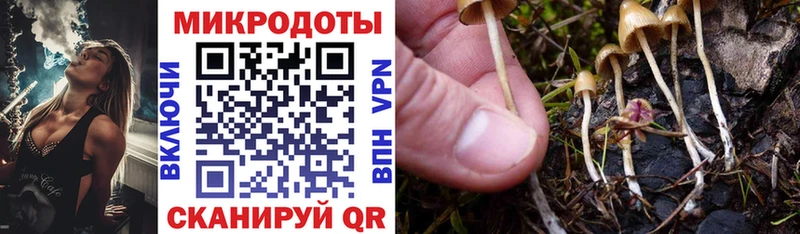 Псилоцибиновые грибы мухоморы  где купить наркоту  Велиж 